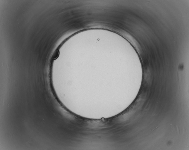 X0000101671149200808071038