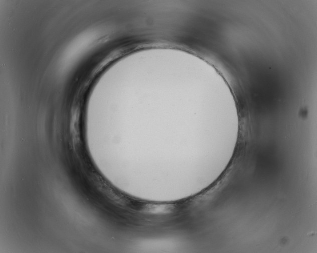 X0000101671150200808071038