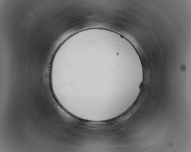 X0000101671151200808071038