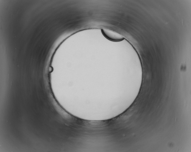 X0000101671152200808071038