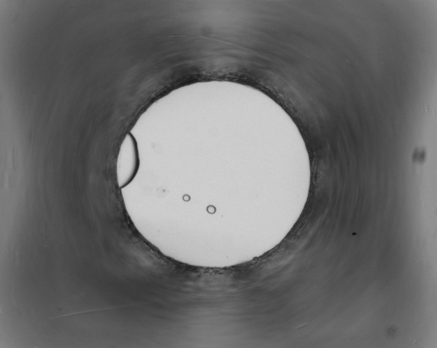 X0000101671153200808071038