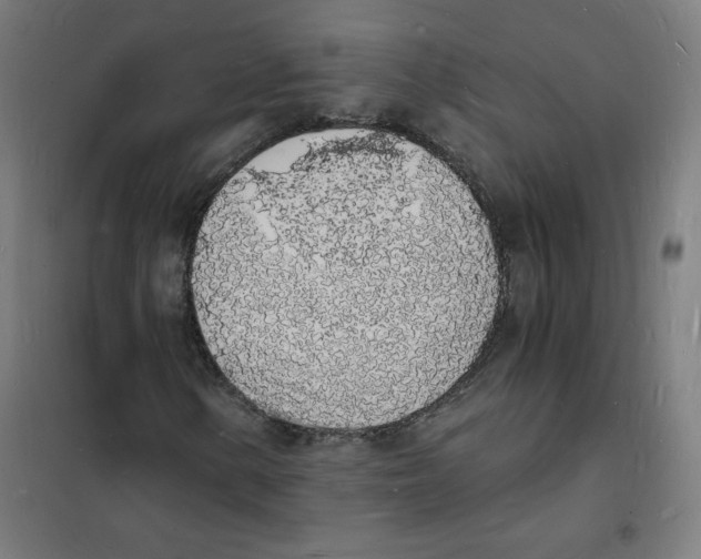 X0000101671154200808071038