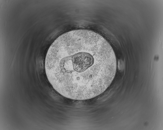 X0000101671155200808071038