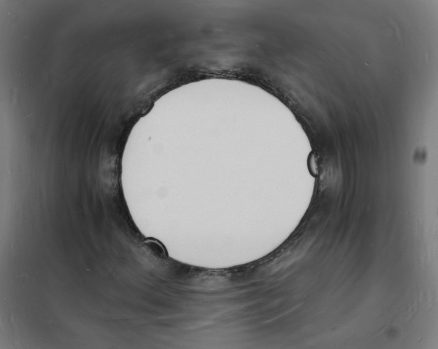 X0000101671156200808071038