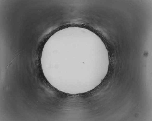 X0000101671159200808071038