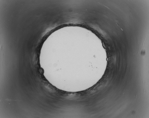 X0000101671160200808071038