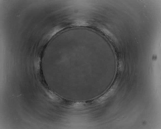 X0000101671161200808071038