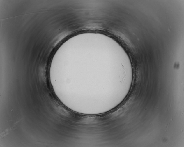 X0000101671162200808071038