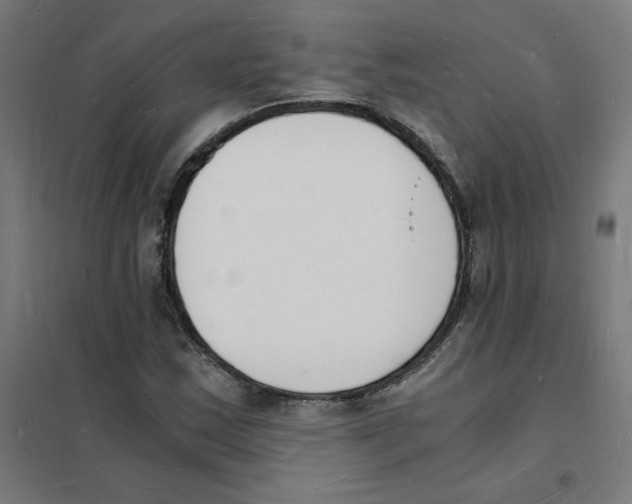X0000101671163200808071038
