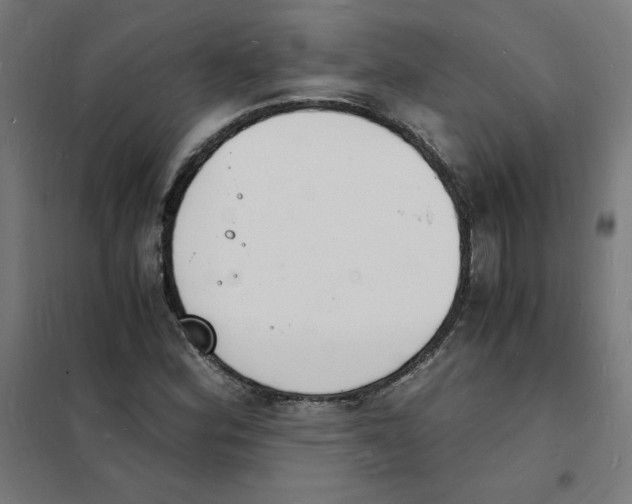 X0000101671164200808071038