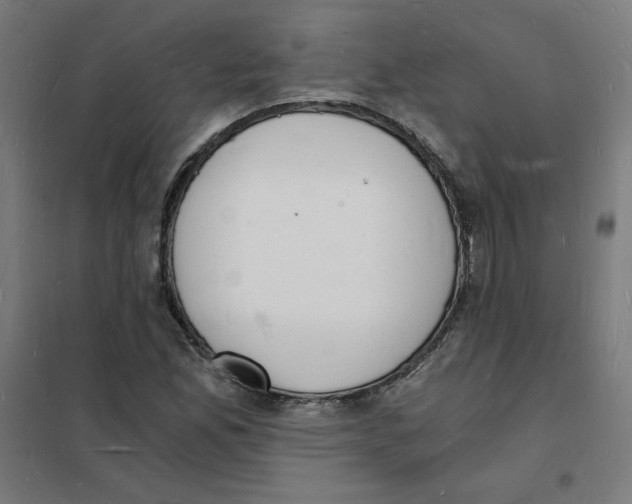 X0000101671165200808071038