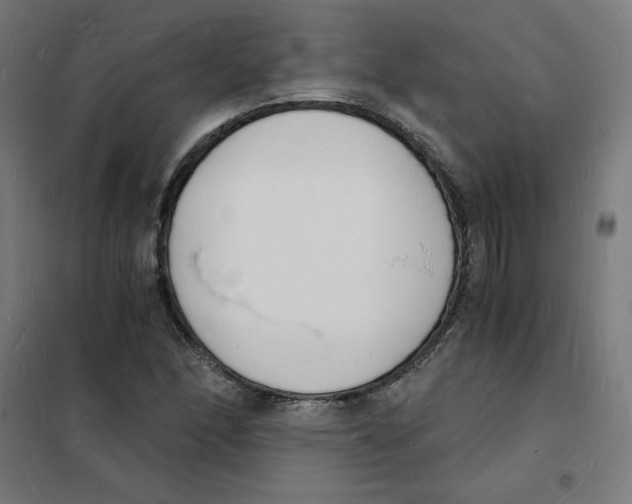 X0000101671166200808071038
