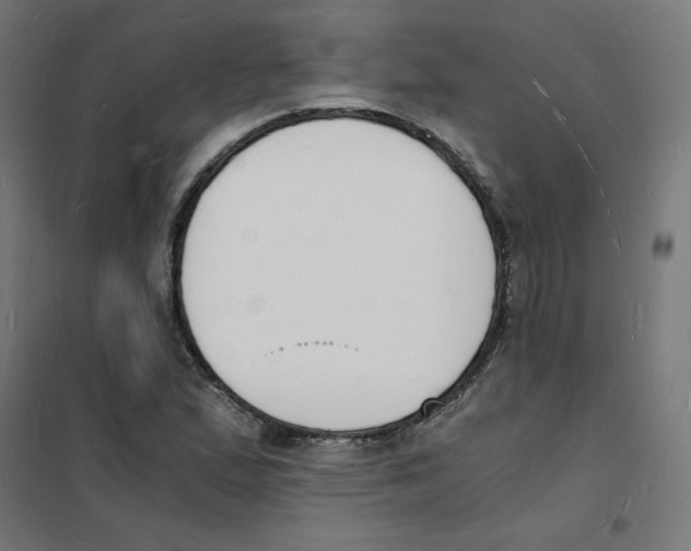 X0000101671167200808071038