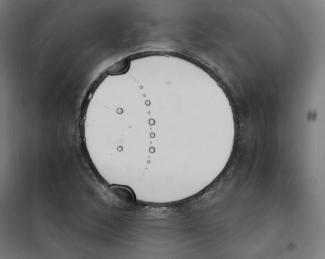 X0000101671168200808071038