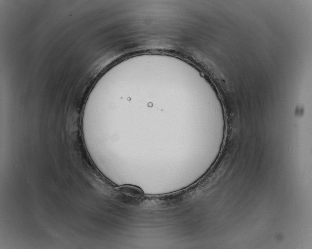 X0000101671169200808071038