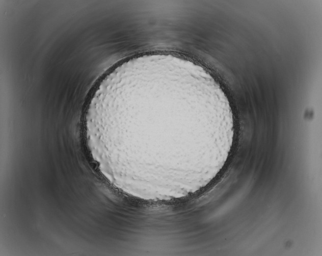 X0000101671170200808071038