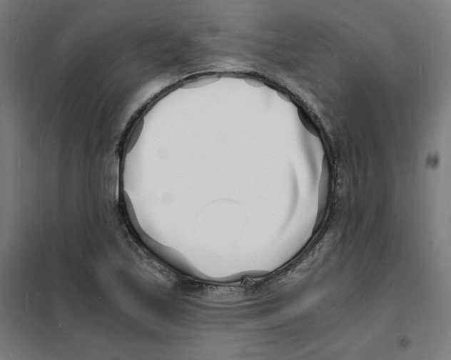 X0000101671171200808071038