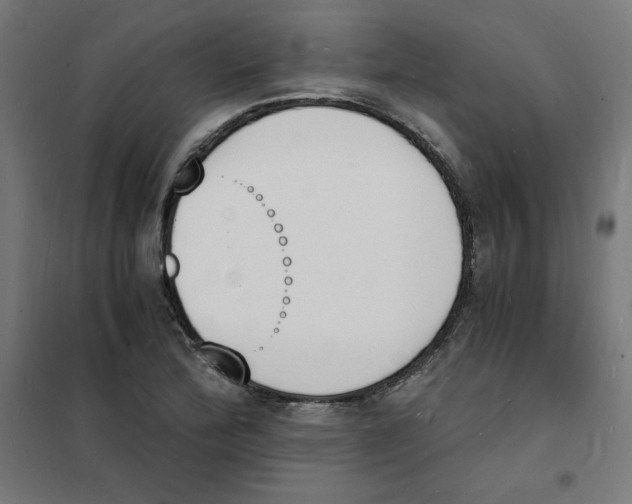 X0000101671172200808071038