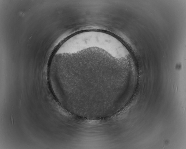 X0000101671173200808071038