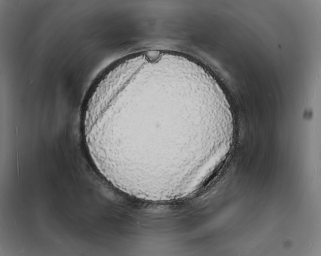 X0000101671174200808071038