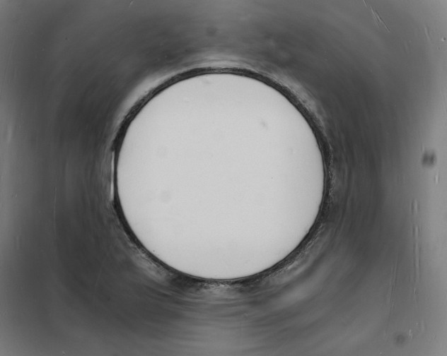 X0000101671175200808071038