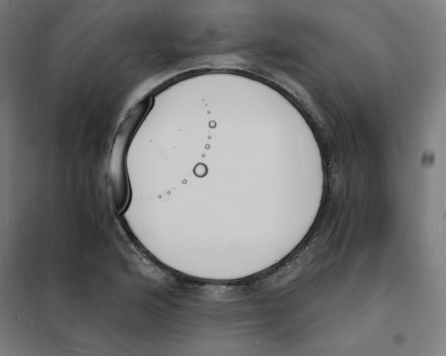 X0000101671176200808071038