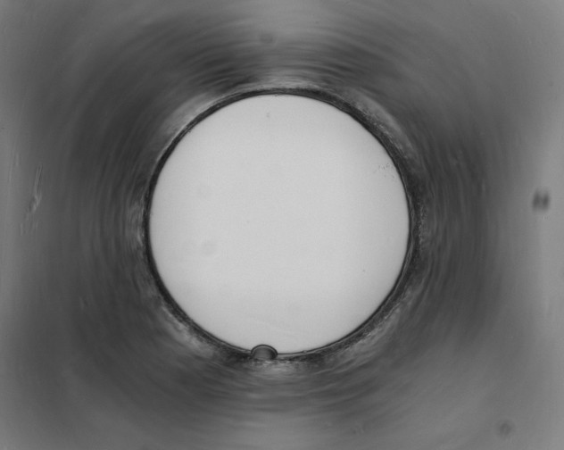X0000101671177200808071037