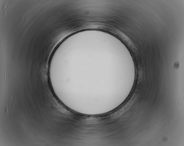 X0000101671178200808071037