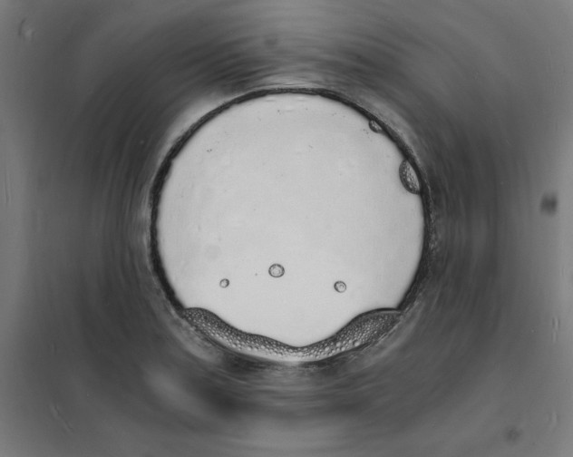 X0000101671179200808071037