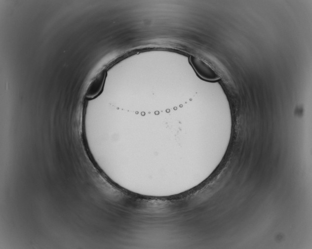 X0000101671180200808071037