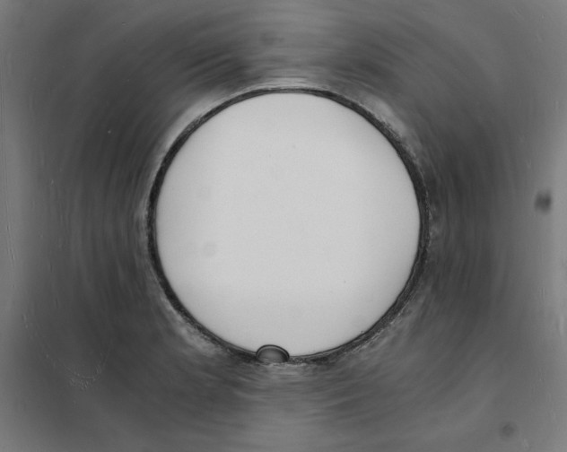 X0000101671181200808071037