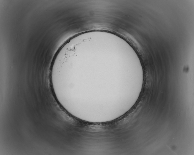 X0000101671182200808071037