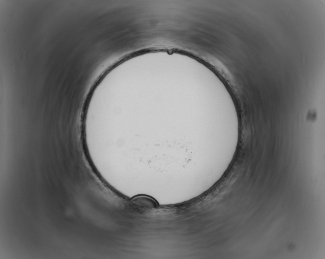 X0000101671183200808071037