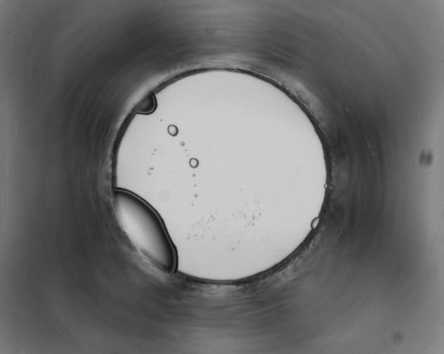 X0000101671184200808071037