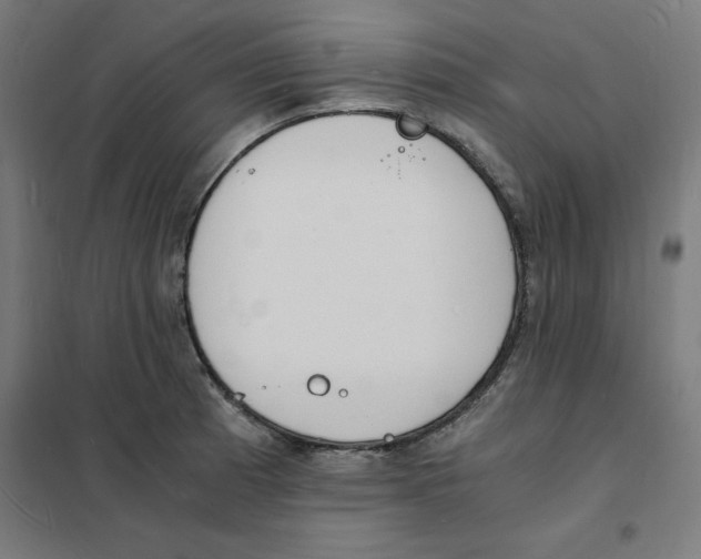 X0000101671185200808071037