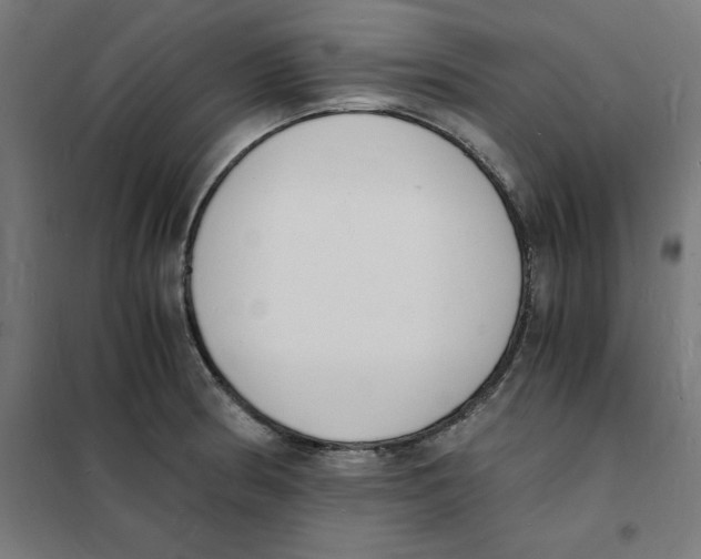 X0000101671186200808071037