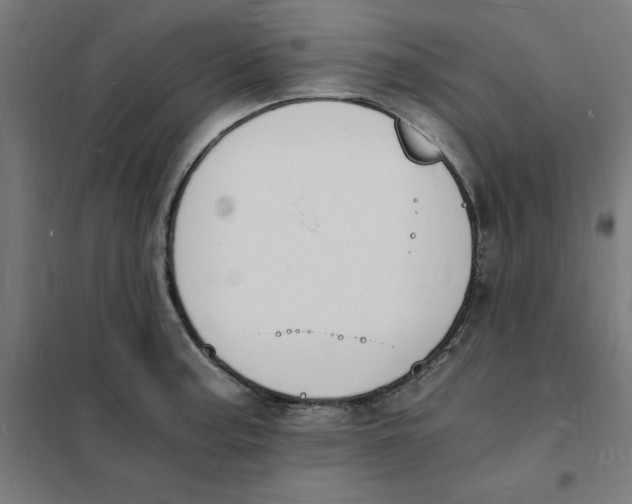 X0000101671187200808071037