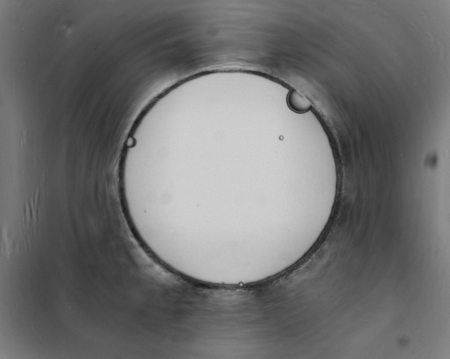 X0000101671189200808071037