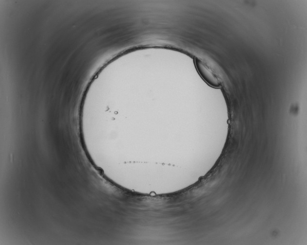 X0000101671191200808071037