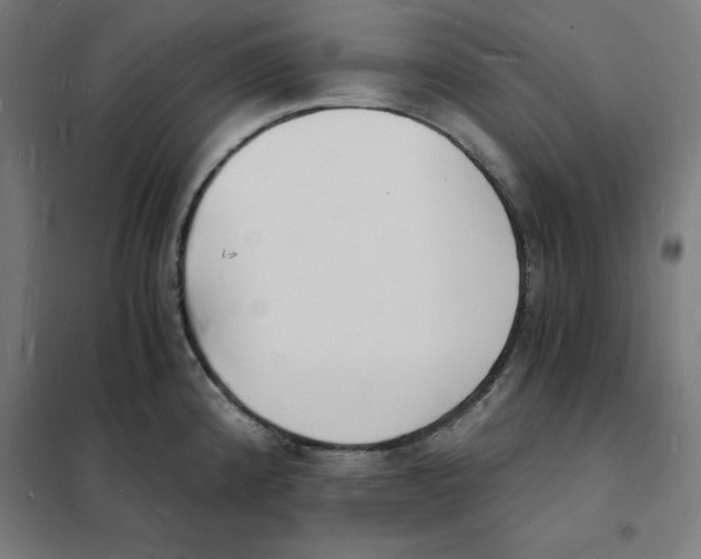 X0000101671192200808071037