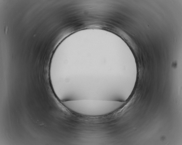 X0000101671194200808071037