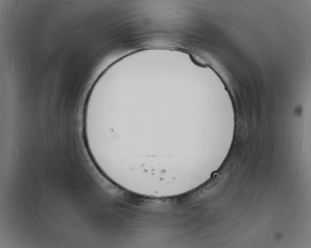 X0000101671195200808071037