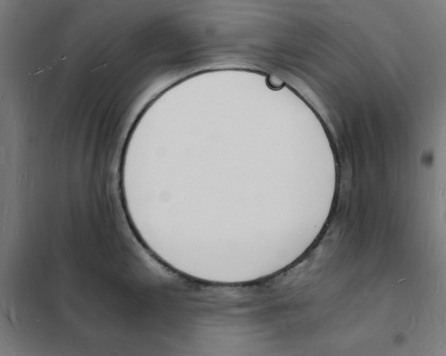 X0000101671197200808071037