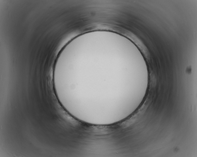 X0000101671198200808071037