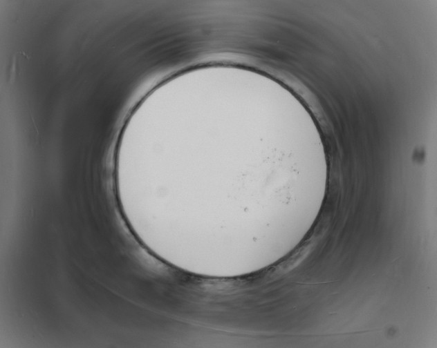 X0000101671199200808071037