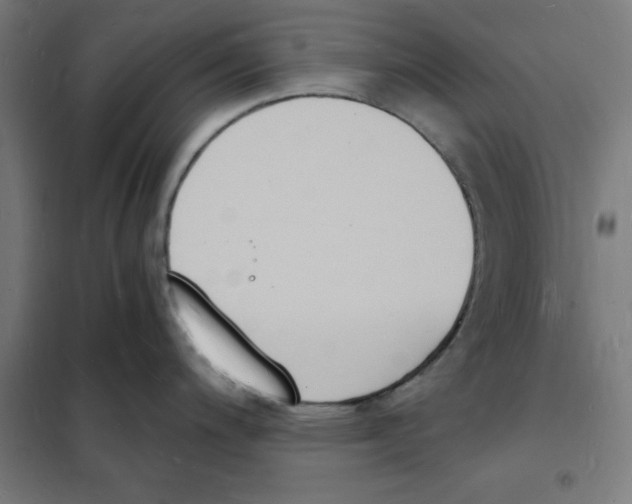 X0000101671200200808071037