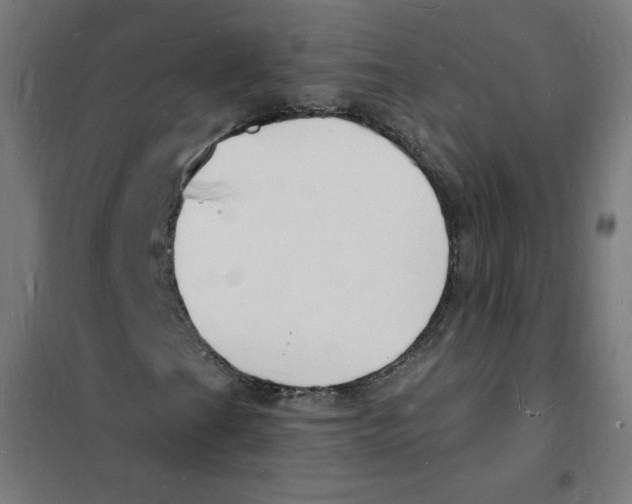 X0000101671201200808071037