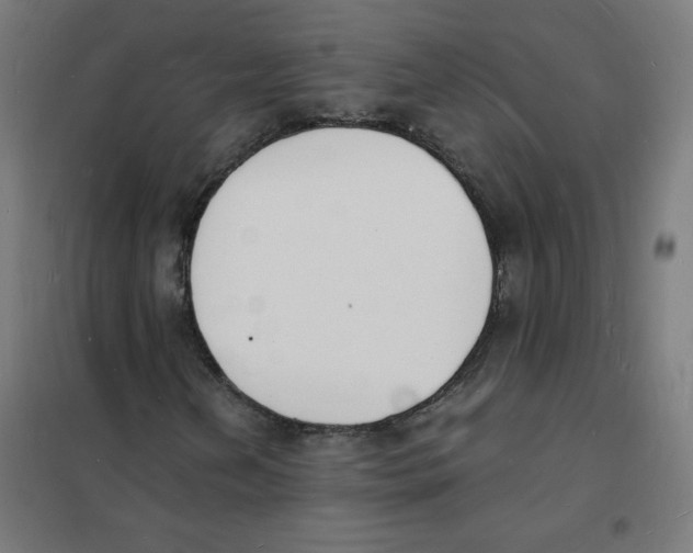 X0000101671202200808071037