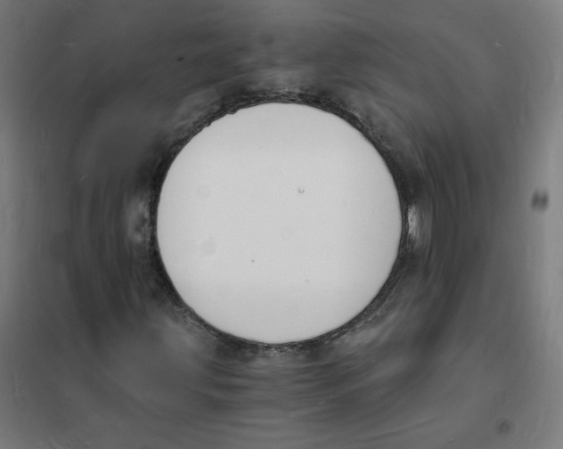 X0000101671203200808071037