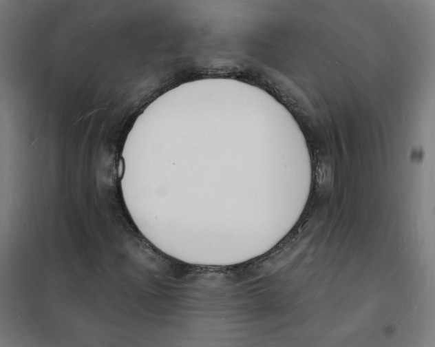 X0000101671204200808071037